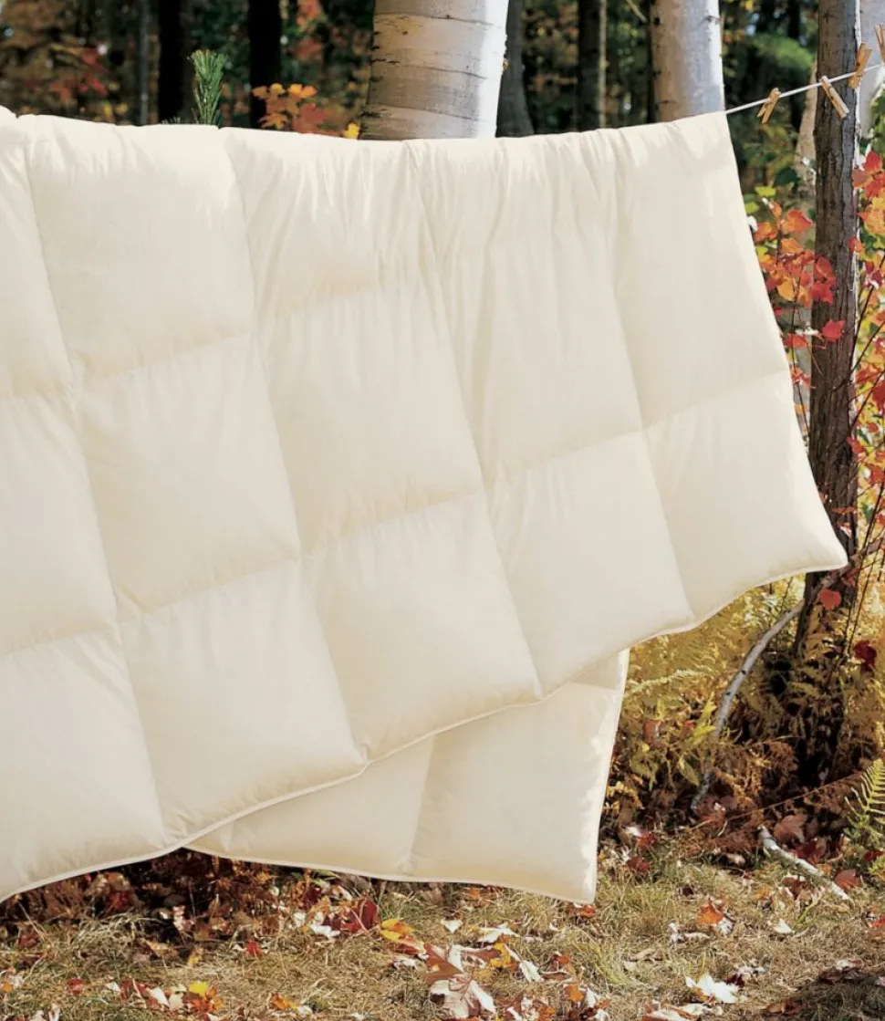 Store L.L.Bean "Box-Stitch Goose Down Comforter, Warm" Cream