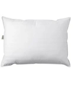 Fashion L.L.Bean "Down Chamber Pillow" White