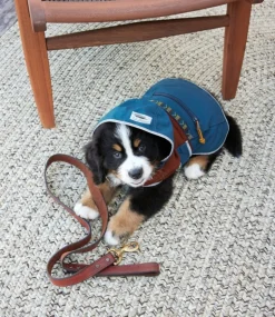 Best Sale L.L.Bean 