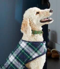 Store L.L.Bean "Novelty Dog Collar"