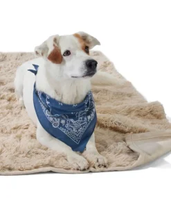 Cheap L.L.Bean "Plush Cuddler Dog Blanket"