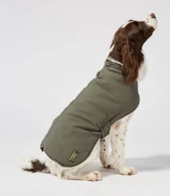 Cheap L.L.Bean "Reversible Field Coat for Dogs"